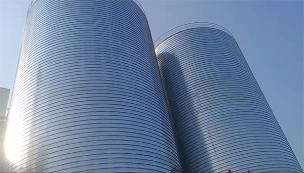 新昌2座混凝土高架卷板仓